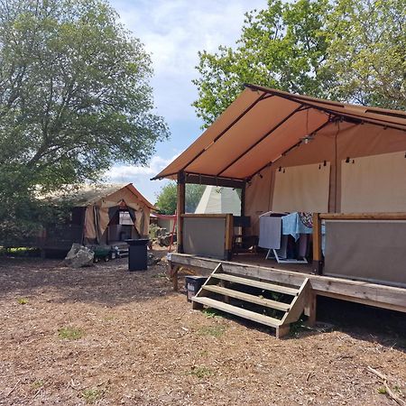 Lodge Les P'Tites Maisons Dans La Prairie Sallertaine Zewnętrze zdjęcie